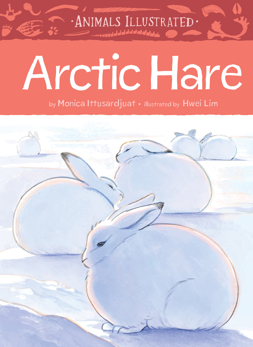 Cover image for Animals Illustrated: Arctic Hare ISBN 9781772276589